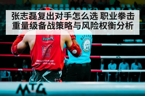 张志磊复出对手怎么选 职业拳击重量级备战策略与风险权衡分析 | kaiyun