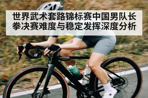 世界武术套路锦标赛中国男队长拳决赛难度与稳定发挥深度分析