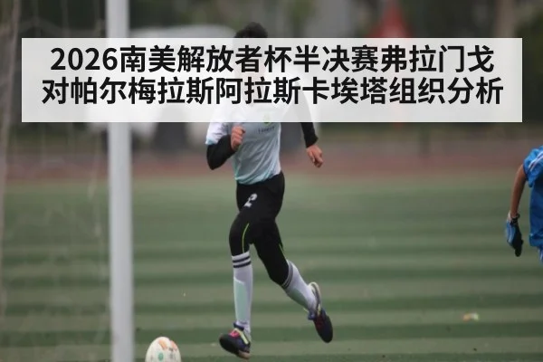 2026南美解放者杯半决赛弗拉门戈对帕尔梅拉斯阿拉斯卡埃塔组织分析